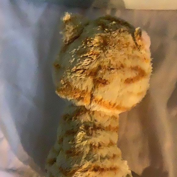 A cat Beanie boo - Picture 4 of 4